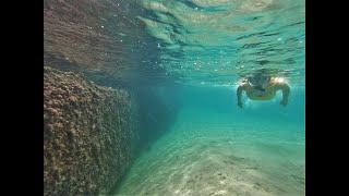 Free diving in Halkidiki, Greece, Corona time!