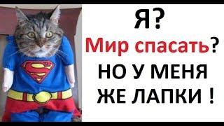 Лютые приколы. Я? Спасать мир? Но у меня же лапки!