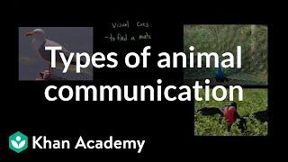 Types of animal communication | Individuals and Society | MCAT | Khan Academy