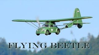 Flying Beetle Warbird-Meeting Oberkulm 2023