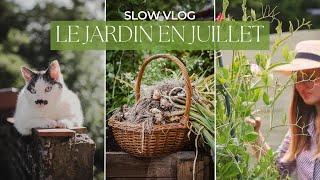 Slow VLOG | Le jardin en juillet - Premières récoltes, pâtes fraîches et lasagnes maison