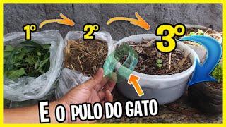 VOCÊ tem MATO no Quintal? FAÇA O MELHOR ADUBO PARA SUA HORTA E JARDIM