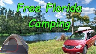 Searching For Best Free Camping in Florida