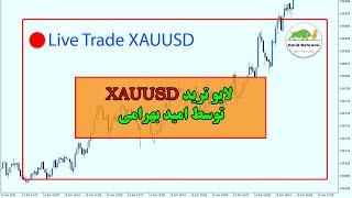 آموزش پرایس اکشن: ترید لایو طلا بر روی اکانت ریل با امید بهرامی - XAUUSD