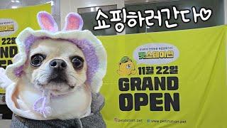 Busan Pet Station Open! You can shop with your dog?! ‍️