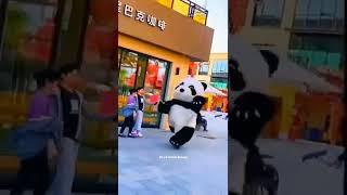 cute panda short 