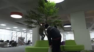 How to increase the advantages of the artificial tree？？ Easy install artificial tree,