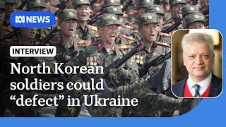 North Korean soldiers may 'surrender and defect' while fighting in Ukraine, says expert | The World