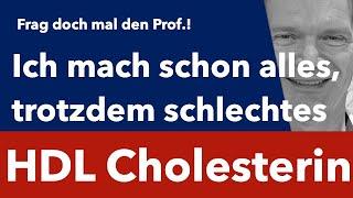 Schlechtes HDL Cholesterin - Frag doch mal den Prof.