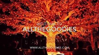 Allthegoodies Travel - The channel for the design passionate and food loving traveller !