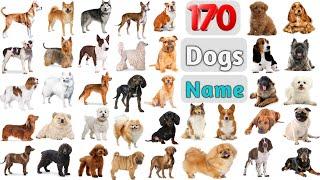 Dogs Name ll 170 Dog Breeds Name in English With Pictures ll Dogs Vocabulary ll All dogs