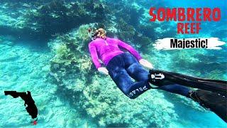 SOMBRERO REEF Snorkeling Florida Keys, Amazing 4K Video Of...Best Snorkeling In Marathon