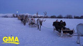 Meet the Indigenous people herding reindeer in Norway, Finland and Sweden