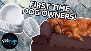 Top 5 Tips for First Time Dog Owners