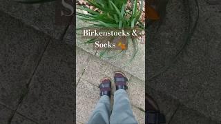 Birkenstocks & Cashmere Socks for a Cosy Winter Style 