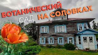 Ботанический сад на Соловках