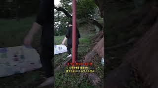 @화성점집@화성무당@왕꽃신녀
