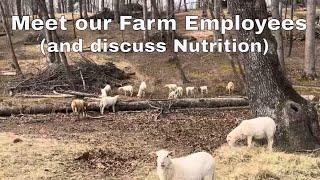 Nutrition and Employees on OB Farms (Soo many Employees)