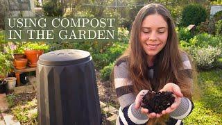 How to Harvest & Use Compost in the Garden  5 Simple Ideas to Feed Your Soil & Plants Using Compost