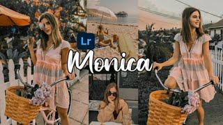 Monica Preset - Lightroom Mobile Presets | Orange Gray Preset | Orange Tone | Grey Tone