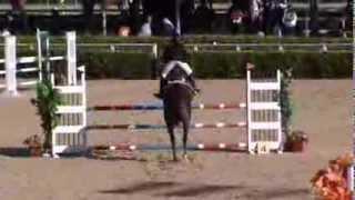 Equestrian: Ahmed Nagy and Chocolate (Friday 7/12/2012 2 phases)