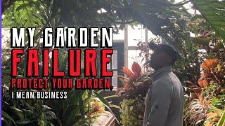 My Home Garden Failed 4 - Protect Your Business like you would protect your Garden