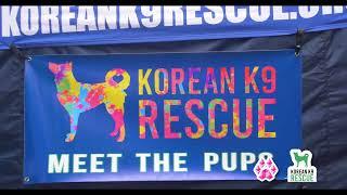 Korean K9 Rescue x Pawthereum - Adoption Event