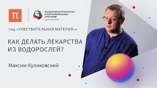 Применение микроводорослей в медицине — Максим Куликовский / ПостНаука