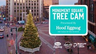 Monument Square Tree Cam Presented By Hood® Eggnog