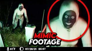 Most Terrifying Mimic Encounters Caught on Camera