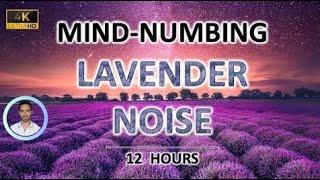 Mind-numbing Lavender Noise | 12 Hours BLACK SCREEN | Study, Sleep, Tinnitus Relief and Focus