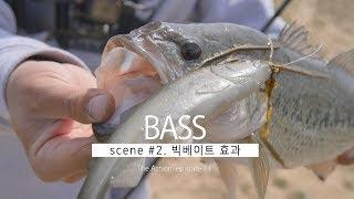 빅베이트 효과!  [The Action Bass ep 01]
