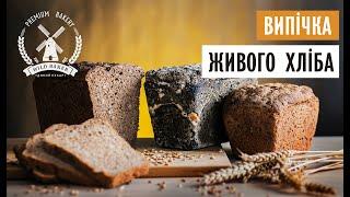 ВИПІЧКА ХЛІБА З ЦІЛЬНОЗЕРНОВОГО БОРОШНА НА ЖИТНІЙ ЗАКВАСЦІ | Дикий пекар  #10