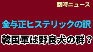 （2024.10.4）［臨時ニュース］金与正ヒステリックの訳、韓国軍は野良犬の