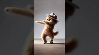 magic cat #cat #petdance #dancingpet #catlover #dancingcat