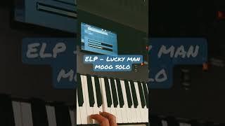 ELP - Lucky man solo