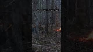 Solo Wild Camping In The Remote Woods