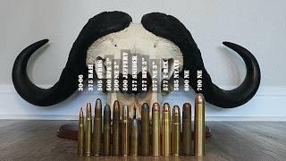 Ultimate Big Bore Caliber Discussion With Kevin Robertson