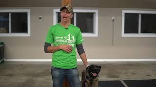 Play Care from Gulf Coast K9 Dog Training