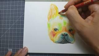 [Color Pencil_ASMR]how I draw dog(puppy)_191 #개그리기 #강아지그리기 #동물그리기 #coloredpencils #색연필그림 #색연필일러스트