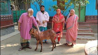 কোরআনের পাখিদের নিয়ে ভিলেজ বাংলা কিচেন কিসের আয়োজন করল পুরো ভিডিও দেখার অনুরোধ রইল