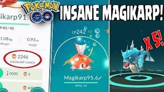 INSANE!! EVOLVING 5 GYARADOS w/ 2200+ Magikarp Candies!! Best Gyarados Evolutions EVER in Pokemon GO