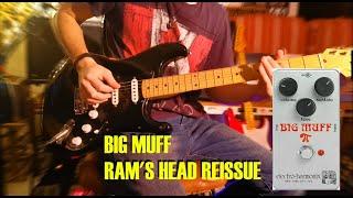 Big Muff Ram's Head Reissue - Review for Gilmour and Pink Floyd sound