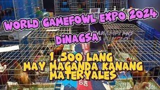 WORLD GAMEFOWL EXPO 2024   ep.6    DINAGSA .