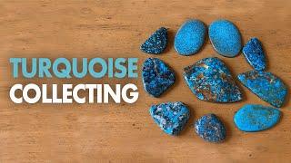 Turquoise Collecting