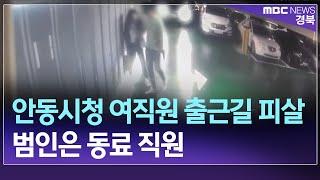 R]안동시청 여직원 출근길 피살..범인은 동료 직원 / 안동MBC