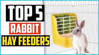 Top 5 Best Rabbit Hay Feeders in 2024 Reviews