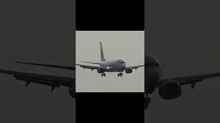 Thai Lion B737-800 landing #aviation #planespotting #baliairport #shorts