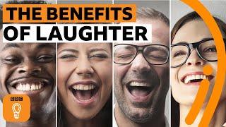 Why do humans laugh? | BBC Ideas