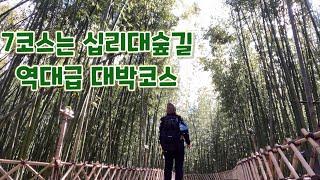 [MJ] 전국일주 11일차- 해파랑길 7코스 역대급 힐링코스&십리대숲길과 태화강